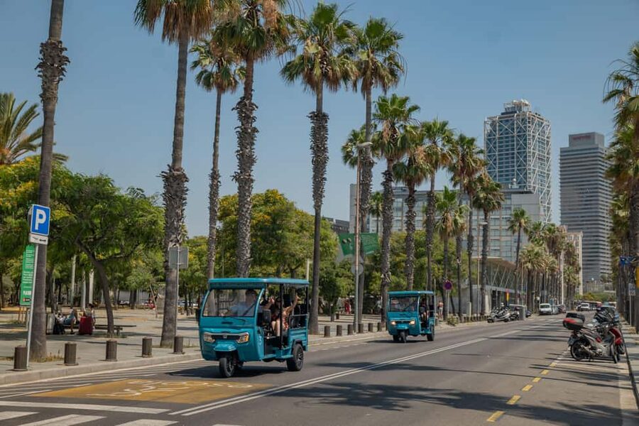 1,5-Hour Barcelona City & Beach Private Tuk-Tuk Tour - Port Vell, Olympic Port, and Barceloneta Beach