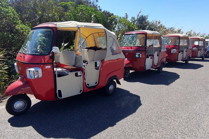 1-Hour Guided Tuk-Tuk Tour in Sintra - Biester Palace and Park: romantic architecture in the forest
