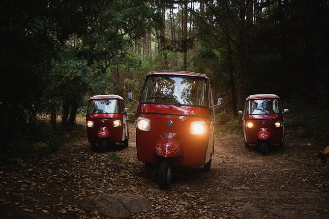 1-Hour Guided Tuk-Tuk Tour in Sintra - Pena Palace: the grand final view