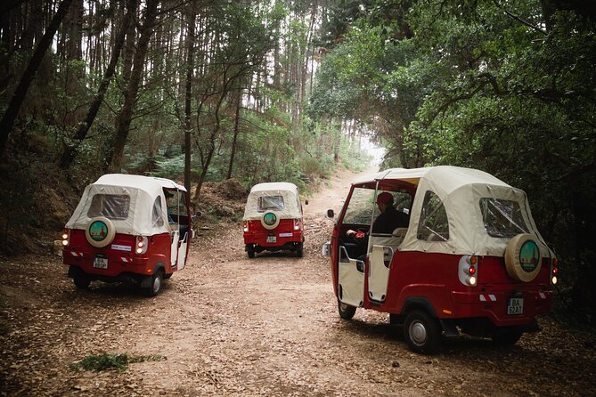 1-Hour Guided Tuk-Tuk Tour in Sintra - What the $54.07 price gets you