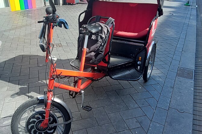 1 Hour Private Amsterdam Rickshaw Tour - Passing through De Wallen