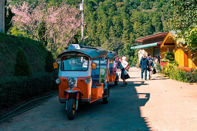 11 Day Tuk Tuk Adventure in Northern Thailand - Key points at a glance