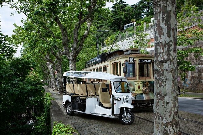 2 Hour Discover Gaia on a Private Eco-Friendly Tuk Tuk Tour - What this private Gaia tour is really designed to do