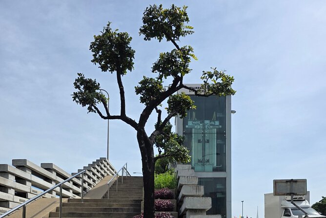 2 Hour Electric Tuk Tuk Cultural Tour of Bangkok - Phra Pokklao Bridge Sky Garden in 10 Minutes