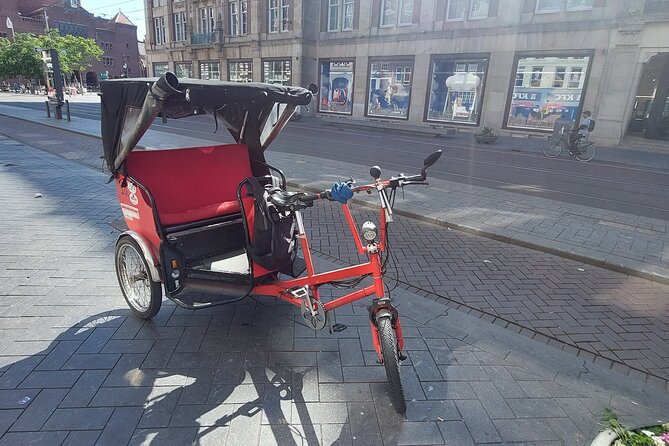 2 Hours Private Amsterdam Rickshaw Tour - Museumplein and the major museums