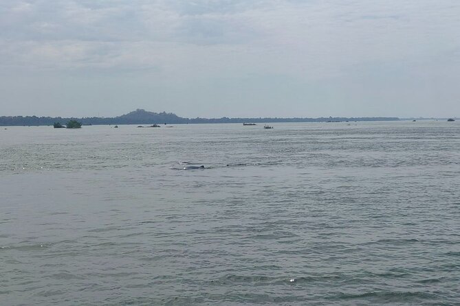 4 hours taking tuk tuk to see Mekong dolphins and countryside - Phnom Sambok Pagoda and its long hilltop stairs