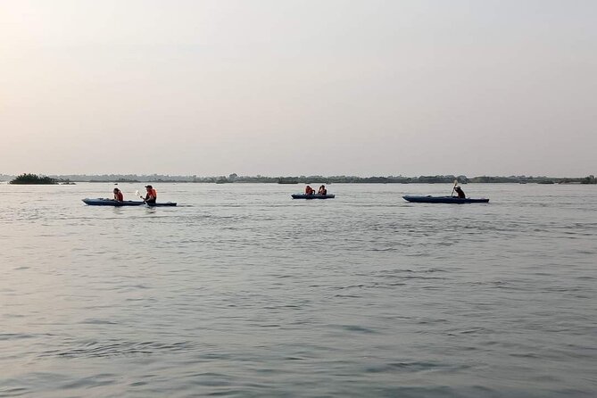 4 hours taking tuk tuk to see Mekong dolphins and countryside - Is $20 a fair price?