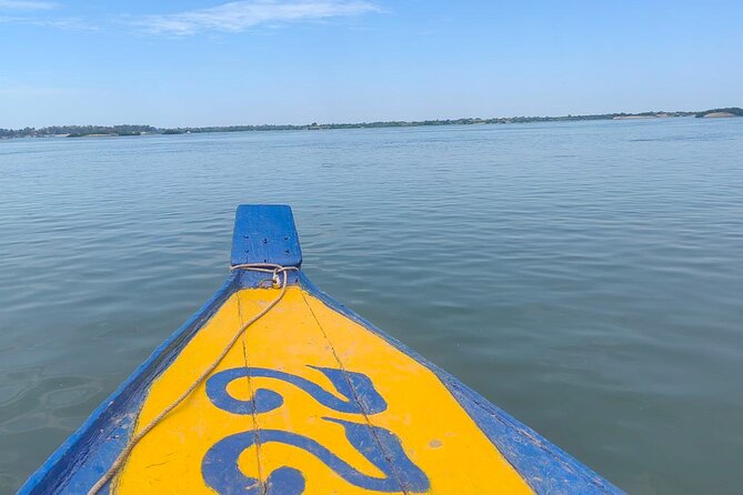 4 hours taking tuk tuk to see Mekong dolphins and countryside - Starting from Dolphin Homestay Krokor