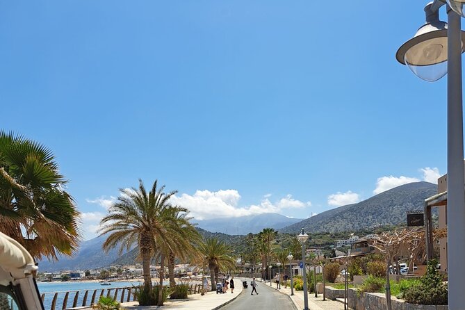 7 Villages Tuk Tuk Tour in Crete with Free Time in Sissi - Olive groves and the Anissaras coast