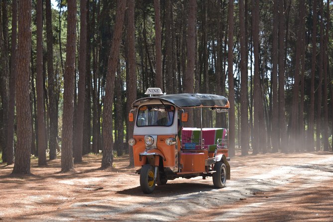 A stunning 11 Day Tuk Tuk Adventure in Northern Thailand - with driver - Day 6: Mae Hong Son by mountain road