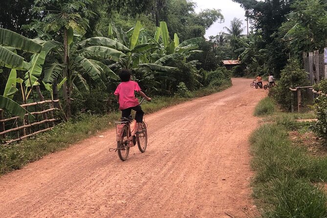 Afternoon tour by tuk tuk to bamboo train,bat cave,killing cave,countryside. - The bat cave at sunset