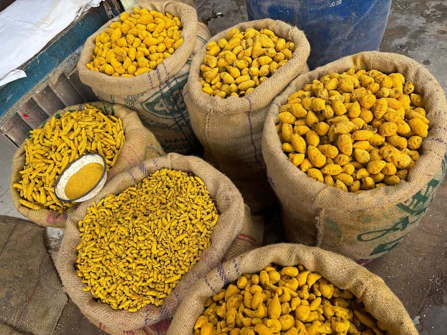 Agra: Street Food Tour with Spice Market on Tuk-Tuk Ride - Chaat Gali and the first round of snacks