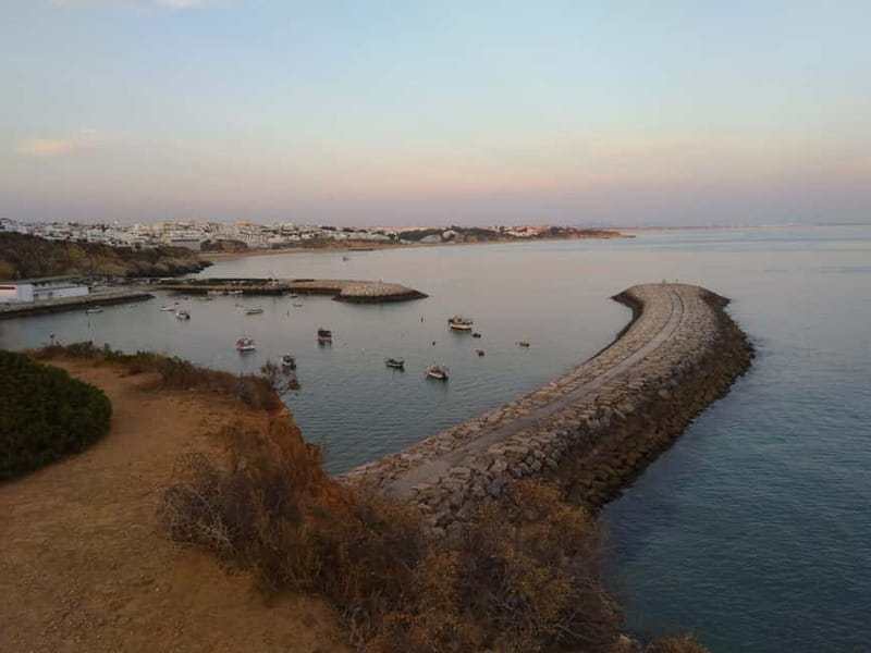 Albufeira: Guided Tour by Tuk-Tuk - Who Will Enjoy This Ride Most?