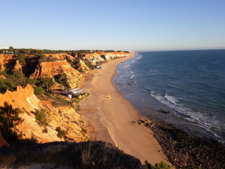 Albufeira: Tuk-tuk Sightseeing Tour - The marina and fishing port