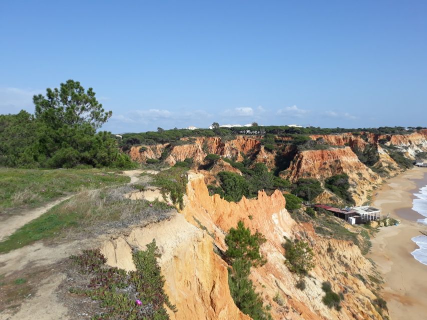 Albufeira: Tuk-tuk Sightseeing Tour - Falesia Beach and the best photo stop