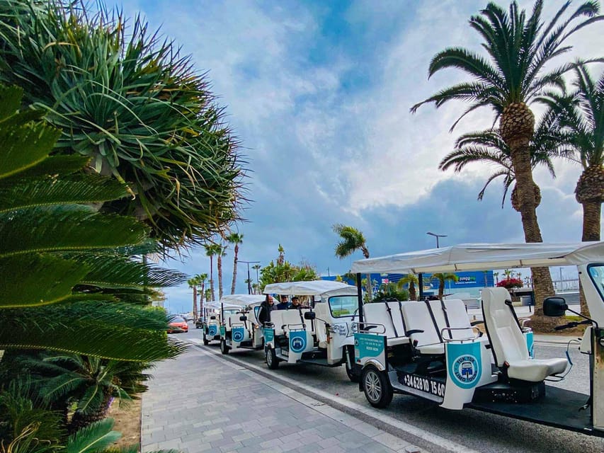 Alicante Tuk Tuk Overview Tour - Lucentum and Alicante’s Roman past