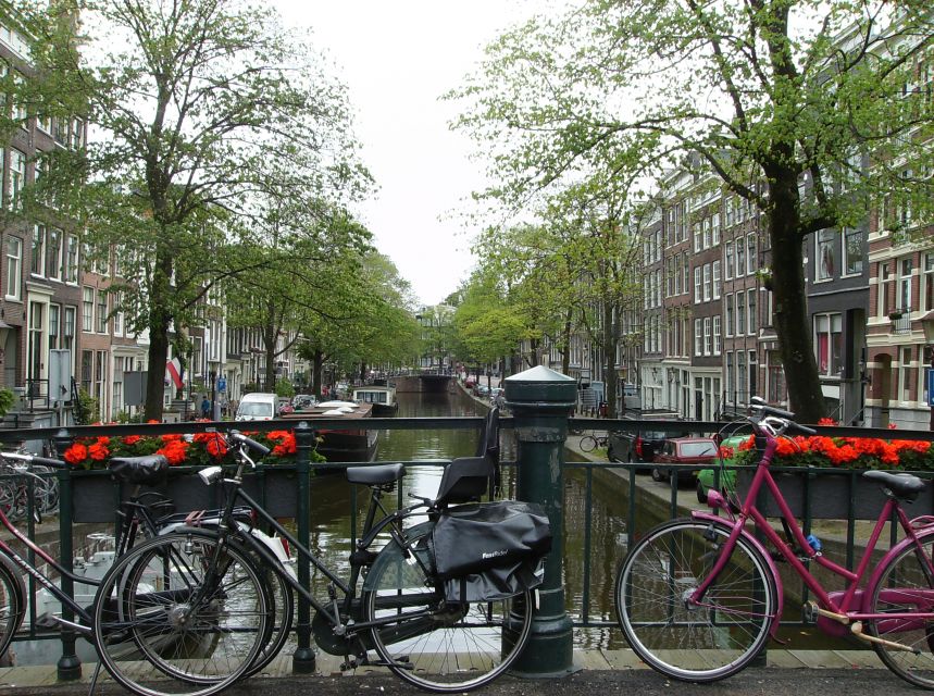 Amsterdam 1-Hour Rickshaw Tour - Comfort, weather, and the ride itself