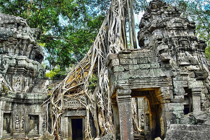 Angkor Wat Private Tour in a Tuk Tuk - The Elephant Terrace and Terrace of the Leper King