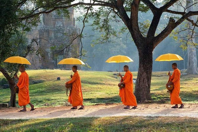 Angkor Wat Private Tour in a Tuk Tuk - Ta Prohm, where trees and ruins share the frame