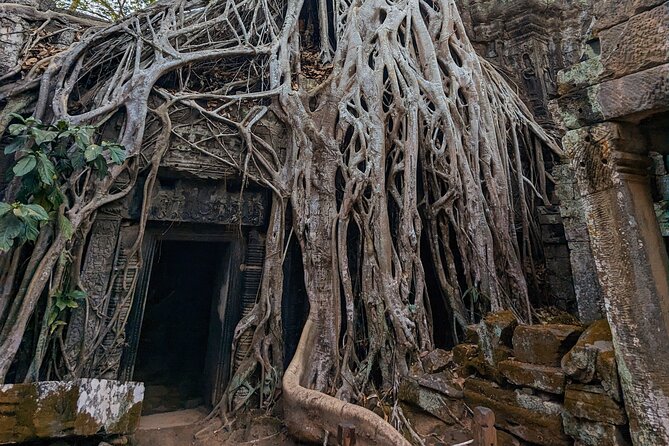 Angkor Wat Private Tuk-Tuk Tour (sunrise Option) & more - Driver service versus temple guiding