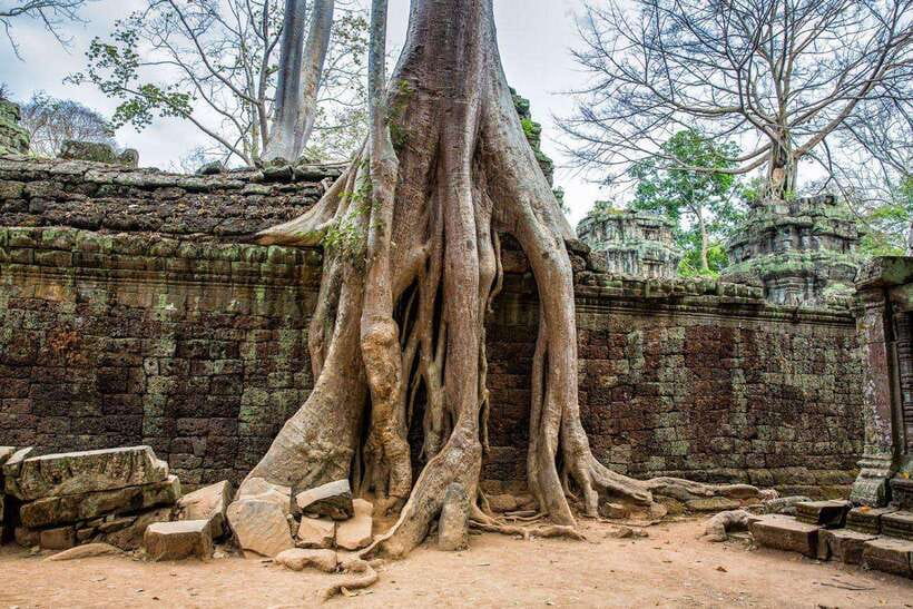 Angkor Wat Small Tour Sunrise With Private Tuk Tuk - Takeo offers a simpler stone experience