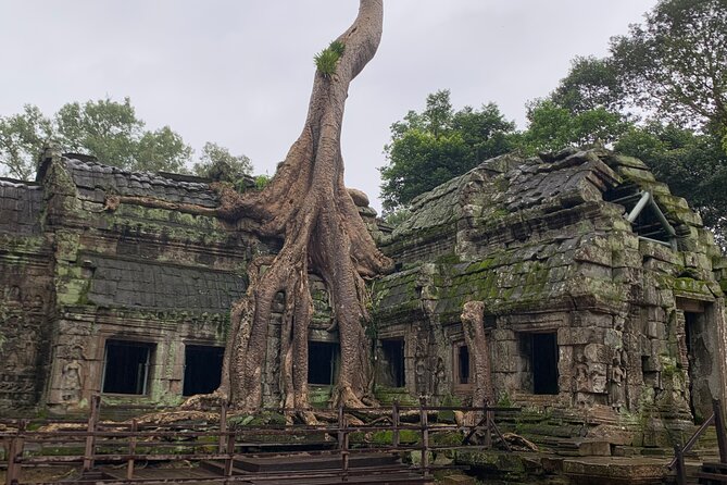 Angkor Wat Sunset TUK TUK Tour - The $32 price and what you really pay