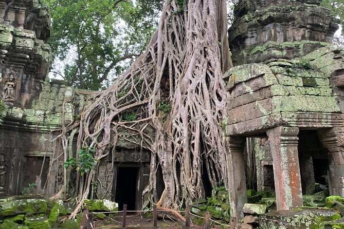 Angkor Wat Sunset TUK TUK Tour - Who should book this experience