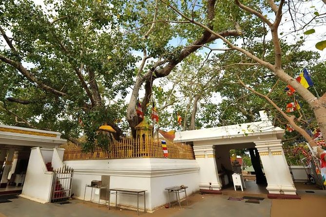 Anuradhapura: 14 Ancient City Sites Tuk Tuk Tour - Isurumuniya Temple and Ranmasu Uyana