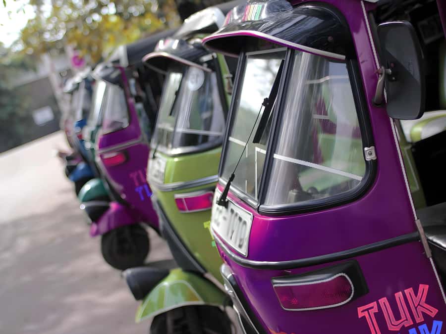 Anuradhapura: Tuk Tuk Tour - Ancient City with Audio Guide - The first temples: Isurumuniya and Ranmasu Uyana