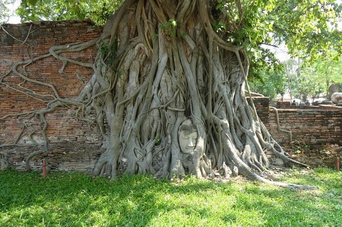 Ayutthaya Elephant Village ATV and Floating Market by Tuk Tuk - Starting at 9:30 am in Ayutthaya