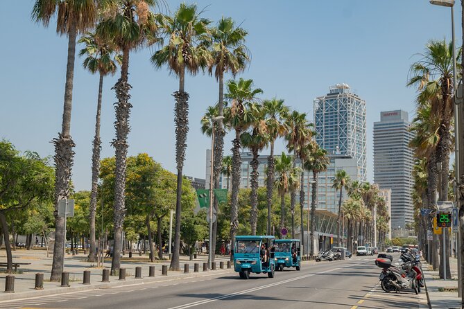 Barcelona 2 Hours Private Tuk-Tuk Tour - Montjuïc views, gardens, and Olympic echoes