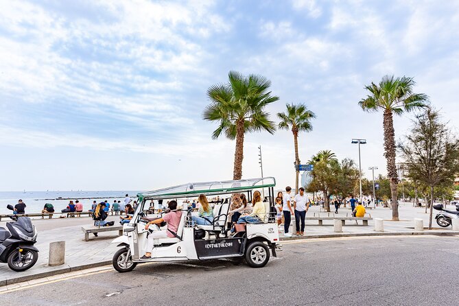 Barcelona Expert Plus Tour with Local Guide in Eco Tuk Tuk Private - What this private Barcelona ride is really like