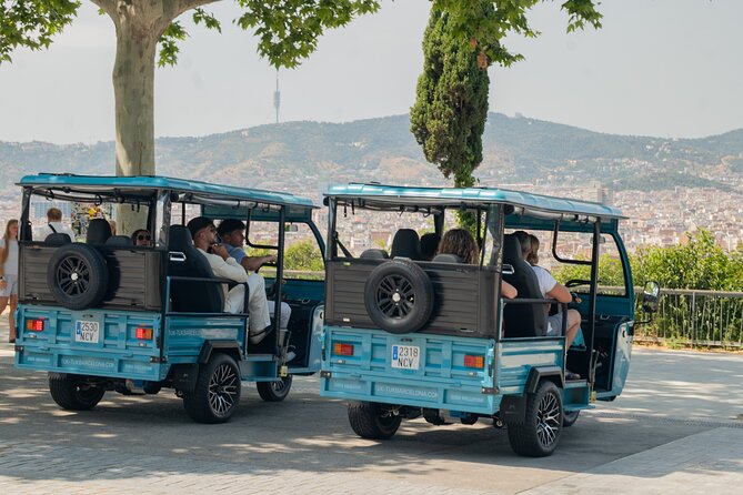 Barcelona Panoramic Private Tuk Tuk Tour - Key points at a glance