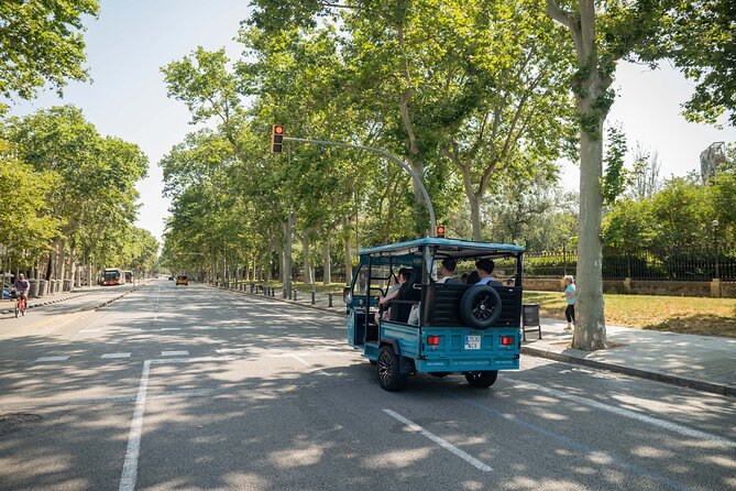 Barcelona Panoramic Private Tuk Tuk Tour - Plaça de Catalunya and Plaça d’Espanya