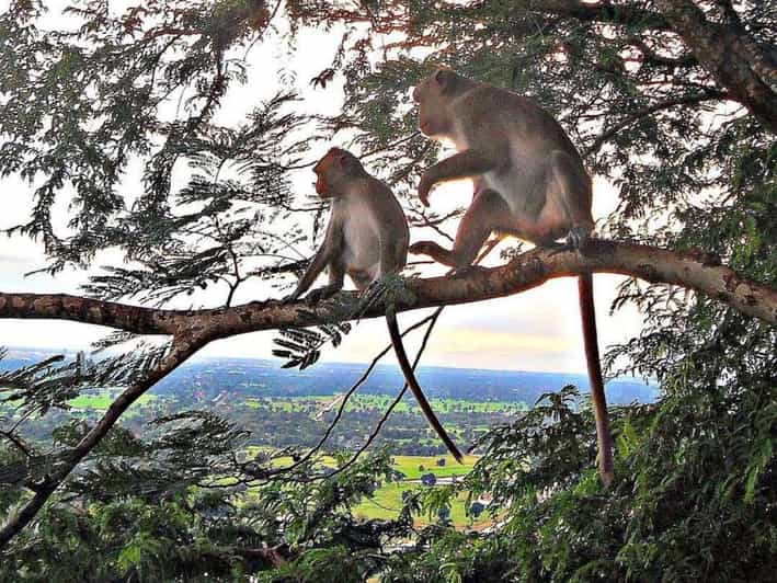 Battambang: Bamboo Train, Bat Cave, Killing Cave by Tuk Tuk - Kampong Pil Pagoda and a short religious pause