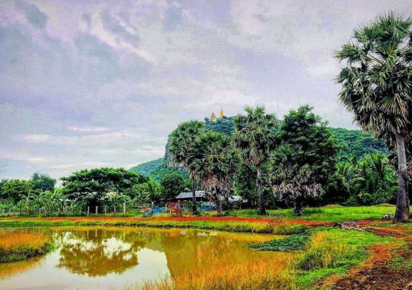 Battambang: Bamboo Train, Bat Cave, Killing Cave by Tuk Tuk - Along the rural roads to Phnom Sampov