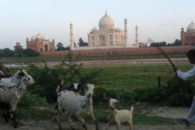 Behind the Taj Mahal with Sunrise or Sunset view by Tuk Tuk Ride
