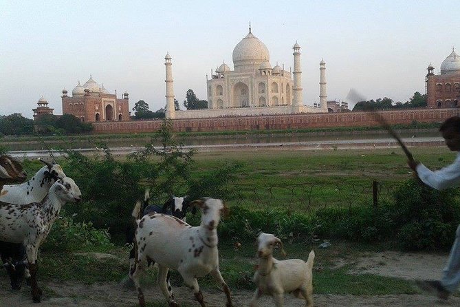Behind the Taj Mahal with Sunrise or Sunset view by Tuk Tuk Ride - A short tuk tuk ride through Agra