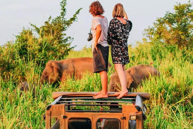 Bentota Tuk Tuk Safari - Is $53.40 Per Person Good Value?