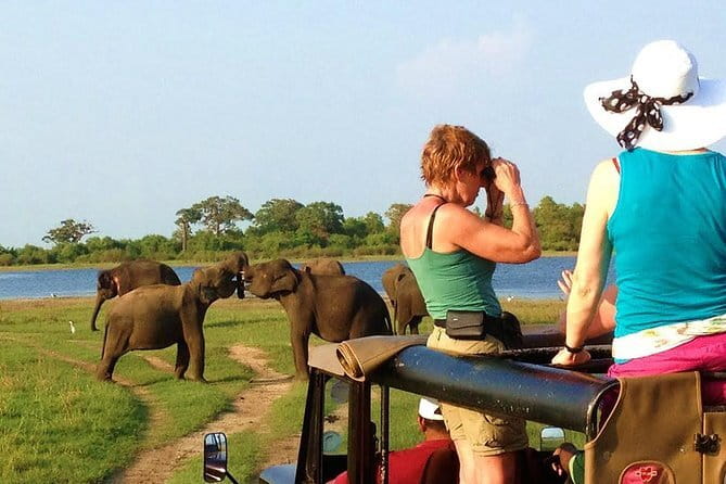 Bentota Tuk Tuk Safari - Who Will Like This Bentota Experience?