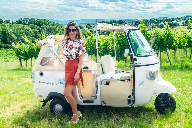 Best of Vienna Tour in TUK TUK! - What the tuk tuk adds, and where it may fall short