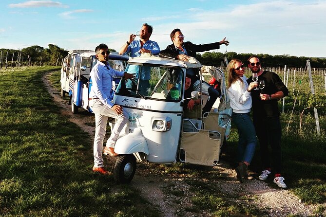 Best of Vienna Tour in TUK TUK! - Timing is the main practical concern