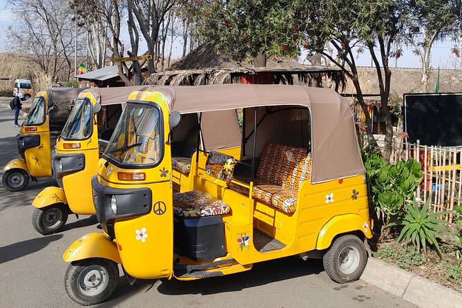 Bicycle or Tuk Tuk Soweto Guided Experience - Key points to know before booking