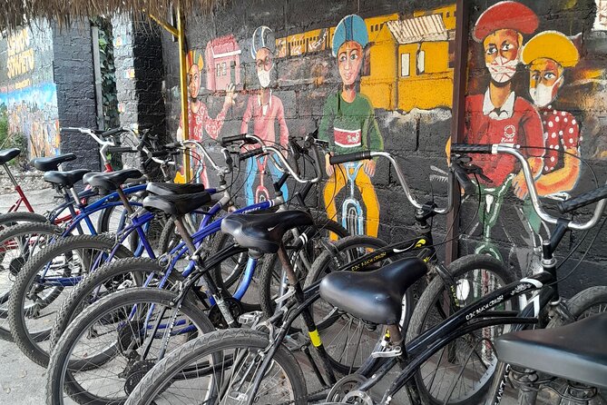 Bicycle or Tuk Tuk Soweto Guided Experience - Orlando Towers and the optional shantytown walk