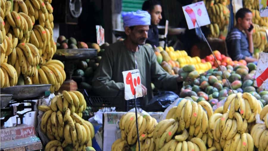Cairo: Local Market Guided Tour with Tuk-tuk Ride & Lunch - What this Cairo market tour is really about