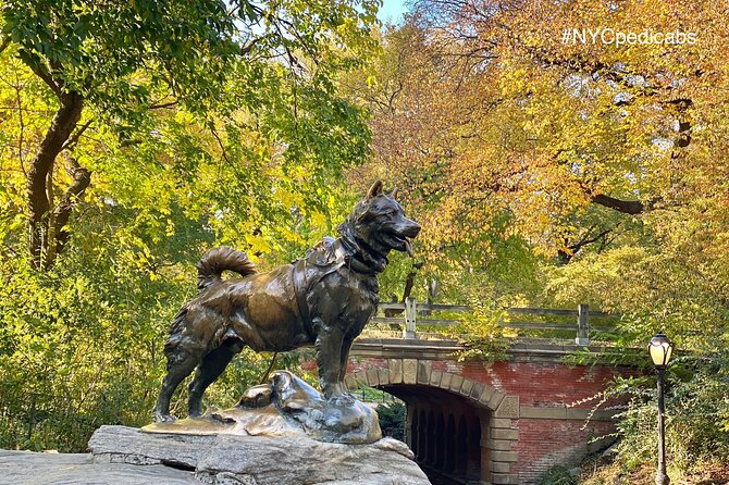 Central Park Pedicab Rickshaw Tours - Belvedere Castle, Shakespeare Garden, and Turtle Pond