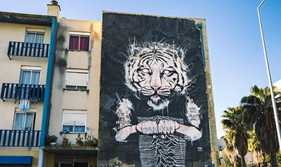 Chaparru<code>s Street Art Tuk Tuk Tour 3 H – Key points to know before booking’ /></p>
<ul>
<li><strong>Three hours in a private tuk-tuk:</strong> You get a personal vehicle and guide for up to two people, with more ground covered than on foot.</li>
<li><strong>A citywide art route:</strong> The tour may reach Marvila, Beato, Alcântara, Moscavide, Graça, and other parts of Lisbon.</li>
<li><strong>Major names and small-scale work:</strong> Expect artists such as Vhils, Bordalo II, Tamara Alves, Add Fuel, Felipe Pantone, Hazul, and André Saraiva.</li>
<li><strong>Guide quality matters:</strong> Lucas received praise for his friendly manner and for connecting the group with an artist, but strong art commentary is not guaranteed.</li>
<li><strong>Useful for first-time orientation:</strong> The route links traditional neighborhoods with renewed areas such as the LX Factory area.</li>
<li><strong>Plan around physical limits:</strong> Large bags, smoking, alcohol, and drugs are not allowed in the vehicle, and the ride is unsuitable for several mobility and health needs.</li>
</ul>
<h2>Why a tuk-tuk is a smart way to see Lisbon’s street art</h2>
<p><img width="900" height="468" decoding="async" src=