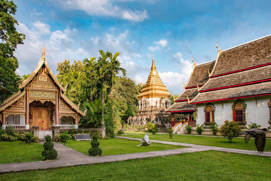 Chiang Mai Light: Tuk Tuk Night Tour with Temples & Markets - Chinatown is the evening’s food stop