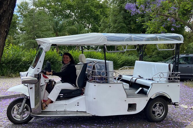 Classic Lisbon & Earthquake Tour by Private Tuk Tuk (4 Hours) - São Pedro de Alcântara and Principe Real