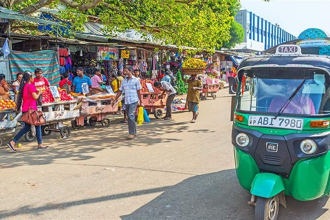Colombo City Tour By Tuk Tuk - Tea tasting and the stone museum stop